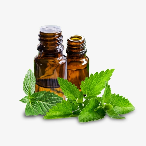 مستخلص النعناع الطبيعي 100%، مستخلص عشبي سائل بدرجة تجميلية، رقم CAS 90063-97-1